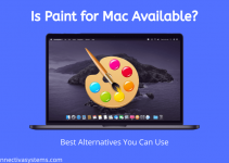 Is Paint for Mac Available?