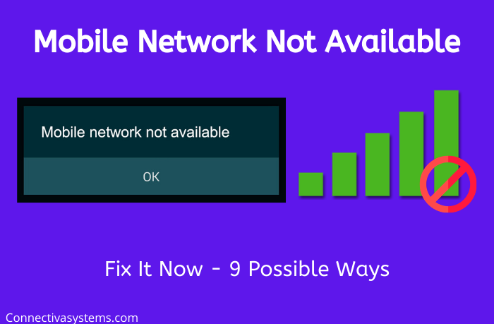 Mobile Network Not Available - Top 9 Ways to Fix This Error