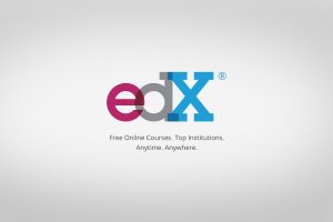 best Udemy Alternatives