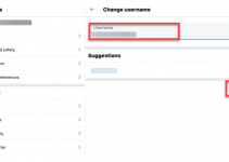 how to change twitter handle