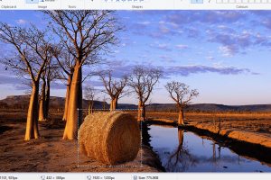 Transparent background on Paint