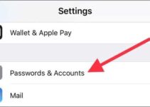 How to view saved passwords on iPhone