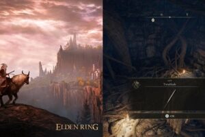 The location of the Twinblade weapon