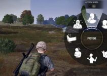 Use PUBG Emotes in A Match