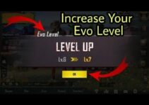 Increase the Evo Level