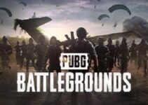See FPS in PUBG PC
