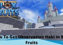 get observation Haki In Blox Fruits