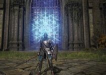 Best Dex Build in Elden Ring