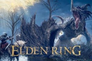 Reset the Sleeping Dragon In Elden Ring