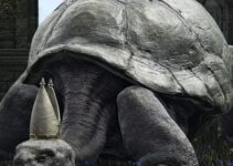 Pope Turtle in Elden Ring