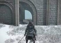 Elden Ring Black Knife Armor