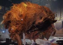 Location Guide For The Elden Ring Red Wolf Of Radagon