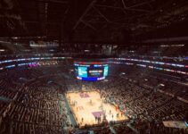 people on ice skating rink