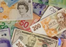 10 and 20 us dollar bill