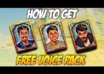 Get Snax's Voice Pack