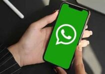 WhatsApp will increase the maximum file transfer size
