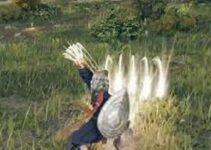 Best Claws in Elden Ring