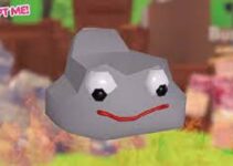Pet Rock and Mechapup in Adopt Me Roblox