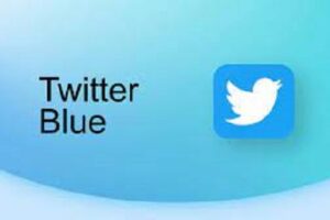 Twitter Blue feature