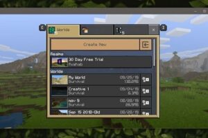 Back Up Your Minecraft World