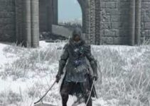 Black Knife Assassin in Elden Ring