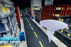 Tornado Simulator Codes