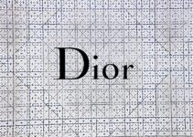 Dior text
