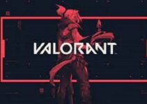 Valorant Purchase History