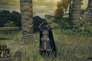 Gesture in Elden Ring