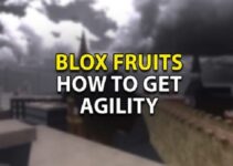 Get Agility in Roblox Blox Fruits