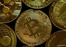 Bitcoin rallies beyond $22000 after Fed hikes rate 0.75 per cent