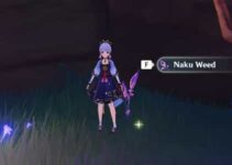 Get Naku Weed in Genshin Impact