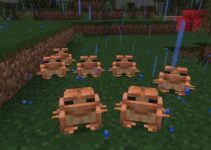 where-can-i-find-frogs-in-minecraft