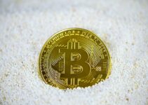 gold and black round coin