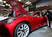 Tesla should reconsider its production plans
