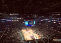 people on ice skating rink