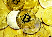 gold and silver round coins