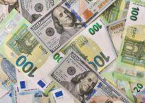 100 and 20 euro banknotes