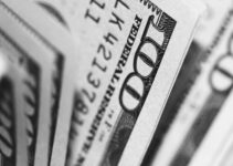 closeup photo of 100 US dollar banknotes