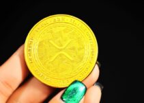 Ripple Coin - Exploring the Future of Digital Currency