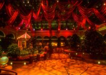 a large room with a lot of plants and lights