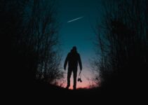 Silhouette Of Man And Trees