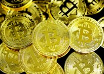 gold and silver round coins