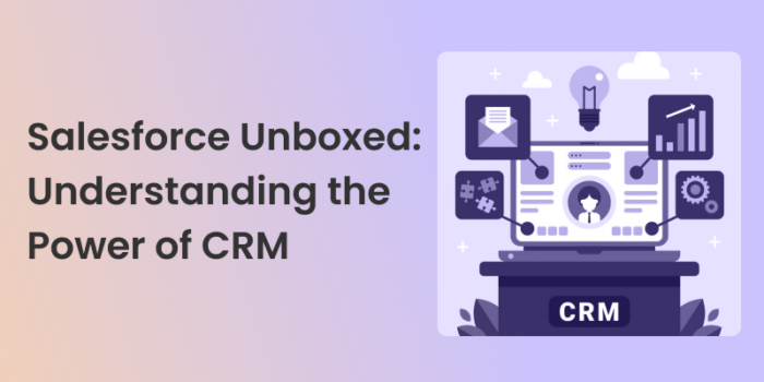 Salesforce Unboxed: Understanding the Power of CRM