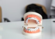 white and brown ceramic cake figurine