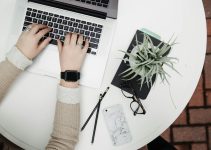 person using laptop computer beside aloe vera